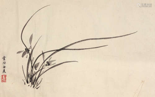 白蕉（1907～1969） 兰草 水墨纸本 镜框