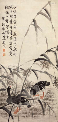 边寿民（1684～1752） 芦雁 设色纸本 立轴