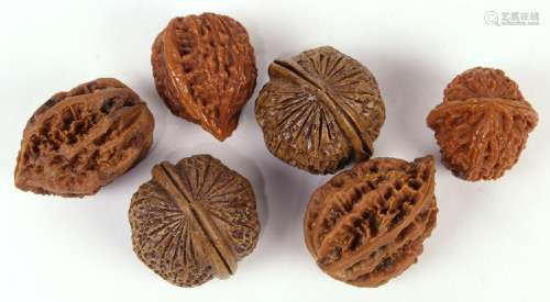 Assortment of Walnut Shells