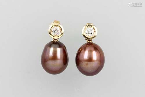 Pair of 14 kt gold earrings with cultured pearls and