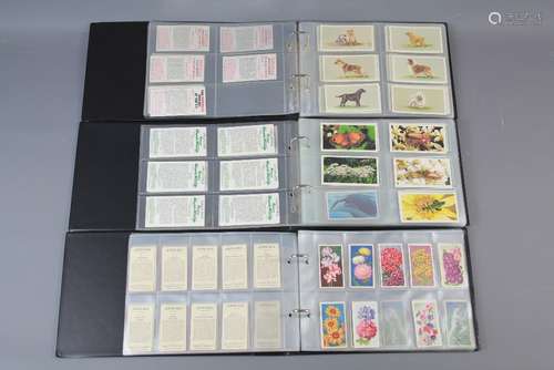 A Quantity of Cigarette Cards and Postcards contained in three boxes and six albums, together with a small collection of  eleven coloured photographs depicting country scenes