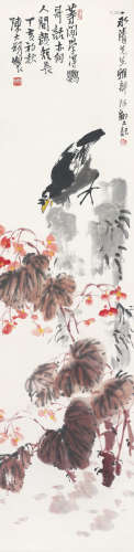 陈大羽（1912～2001） 鹦哥 立轴 设色纸本