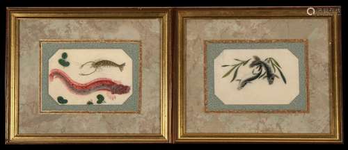 A pair of Chinese watercolours on rice paper, one depicting a pair of carp, the other a red eel