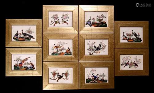 A group of ten 19th century Chinese paintings on rice paper depicting birds and foliage, framed &