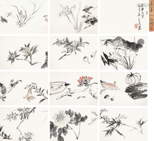 康宁（b.1950） 花卉册 册页 设色纸本