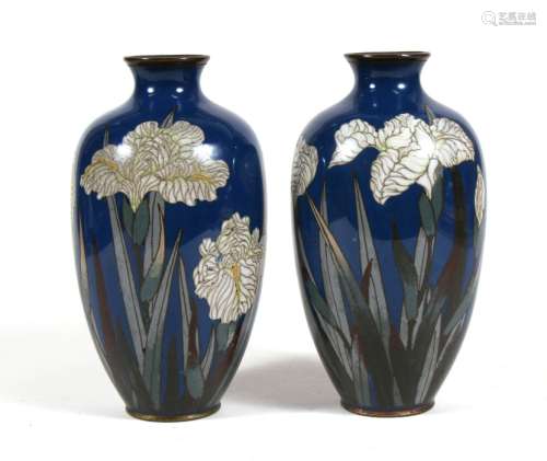 A pair of 19th century Japanese cloisonne vases decorated flowers on a blue ground. 18cm (7 ins)