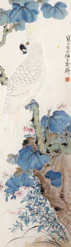 江寒汀（1903～1963） 梧桐鹦鹉 镜框 设色纸本
