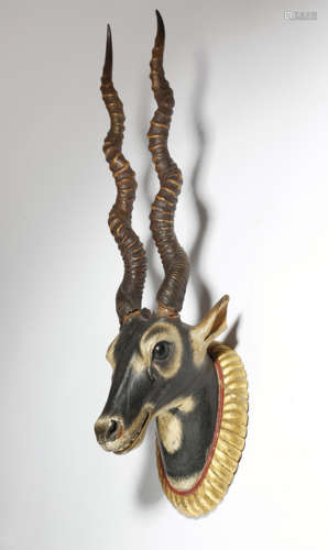 A carved and polychrome decorated wood gazelle head mount, with real horns and glass eyes, with a