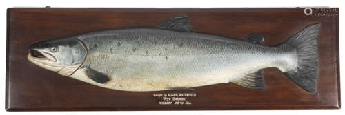 An Edwardian carved wood and painted half-block model of a salmon, mounted on a stained beech