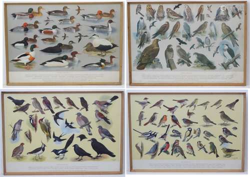 Royal Society Protection of Birds after HJ Slyper 1960/61,