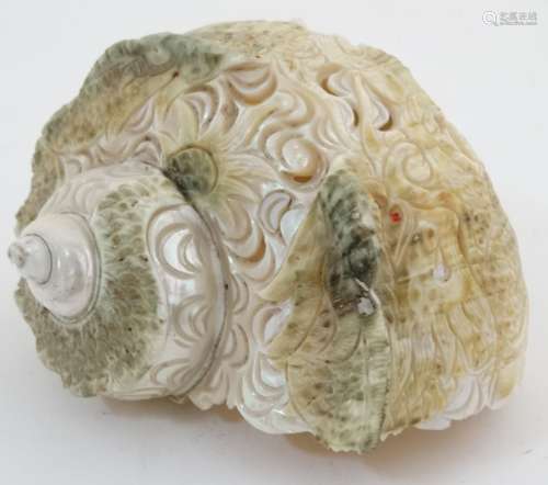 An unusual carved 19thC nautilus shell 5 1/2