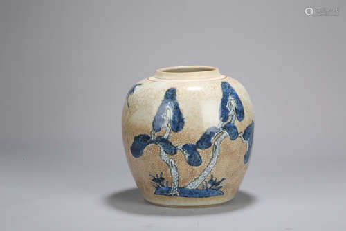 Chinese blue and white porcelain jar.