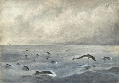 A school of porpoises unframed Edward Roper(British, 1830-1909)