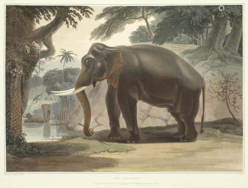 A Picturesque Illustration of the Scenery, Animals, and Native Inhabitants, of the Island of Ceylon], [T. Bensley, 1808] DANIELL (SAMUEL)
