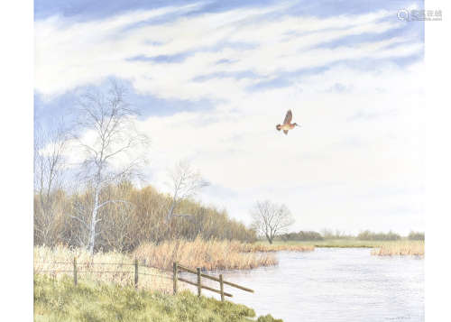 •Geoffrey Campbell Black (20th Century) oil on canvas, 'Wildfowl over a River', signed 'Campbell-
