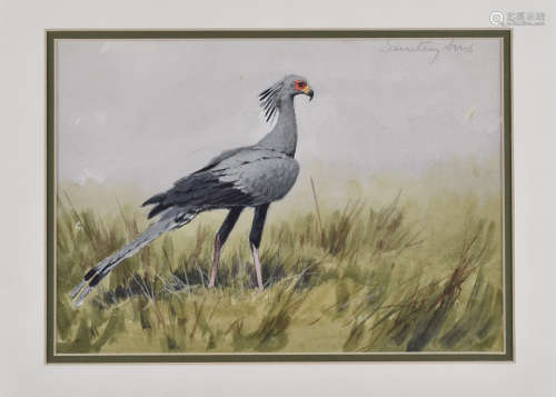 •John Cyril Harrison (1898-1985) watercolour on paper, 'Secretary Bird', inscribed upper right, 16.5
