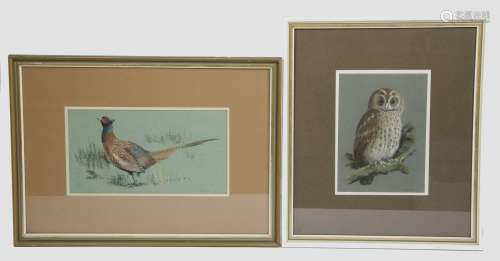 20th Century British School three ornithological pastels on paper, 'Tawny Owl', indistinctly