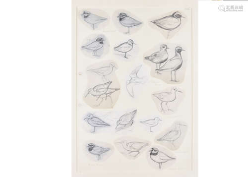 •David Morrison Reid-Henry (1919-1977) a series of pencil and watercolour on paper bird studies