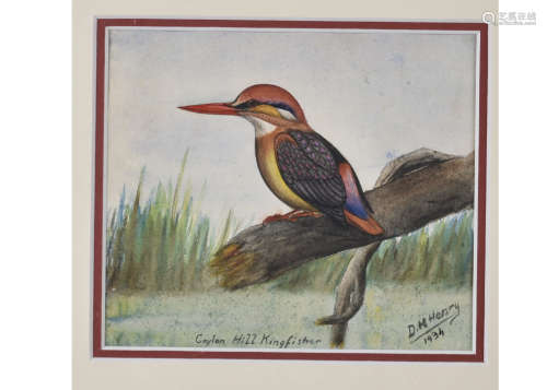 •David Morrison Reid-Henry (1919-1977) watercolour on paper, 'Ceylon Hill Kingfisher', signed and