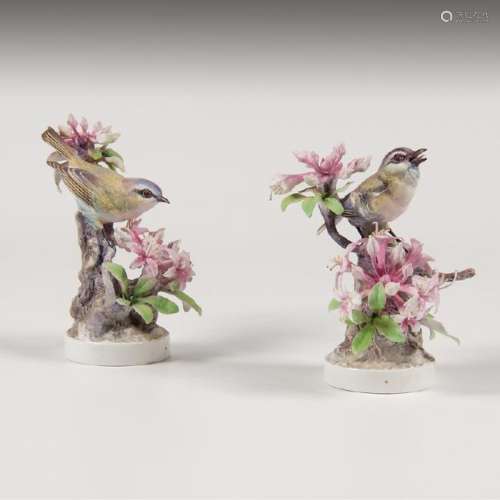 Royal Worcester  Dorothy Doughty Red-Eyed Vireo