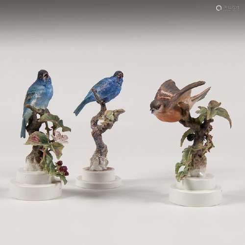 Royal Worcester  Dorothy Doughty Indigo Bunting