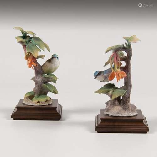 Royal Worcester  Dorothy Doughty Cerulean Warbler