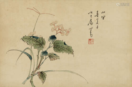 溥儒 花卉 设色绢本 立轴 23×35 cm. 约0.7平尺