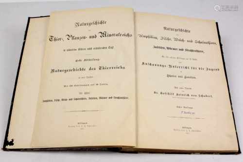 Naturgeschichte, von 1871*Naturgeschichte der Amphibien, Fische, Weich- und Schalenthiere*,