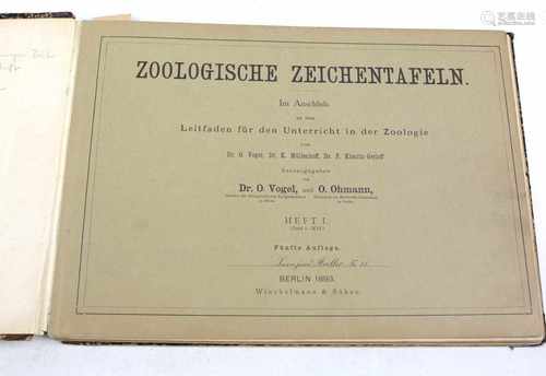 Zoologie TafelnZoologische Zeichentafeln. Im Anschluß an den Leitfaden für den Unterricht in der