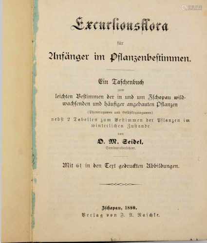 Excursionsflora v. 1880für Anfänger im Pflanzenbestimmen, Ein Taschenbuch von D.M.Seidel, 298 S. mit