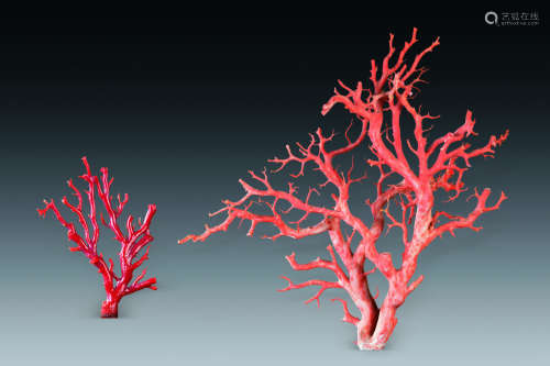 珊瑚树 （二件一组）