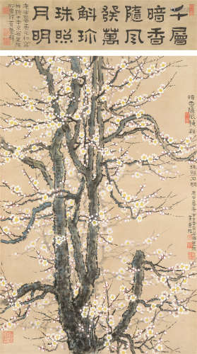 黄养辉（1911～2001） 白梅 立轴 水墨/设色纸本
