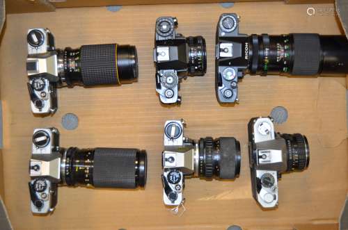 A Tray of Olympus OM10 and Ricoh SLR Cameras, including OM10 with zoom lens (3 examples), Ricoh KR-