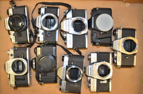 A Tray of Manual SLR Bodies, including Canon, Minolta, Olympus, Pentax, Rolleiflex and Yashica