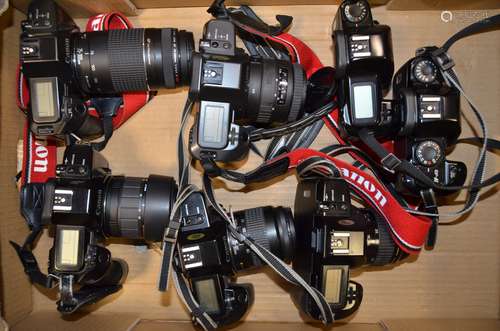 A Tray of Canon EOS SLR Cameras and Bodies, including an EOS 1000 body, an EF-M body, an EOS 600