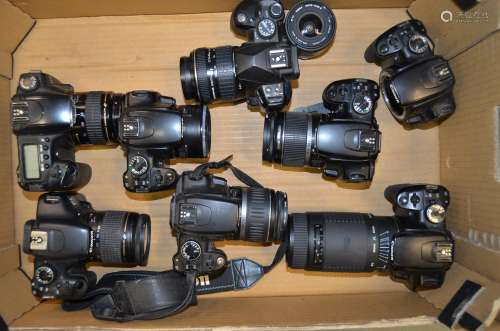 A Tray of Canon EOS DSLR Cameras, including 20D with 35-105mm f/4.5-5.6 lens, 350D with 18-55mm f/