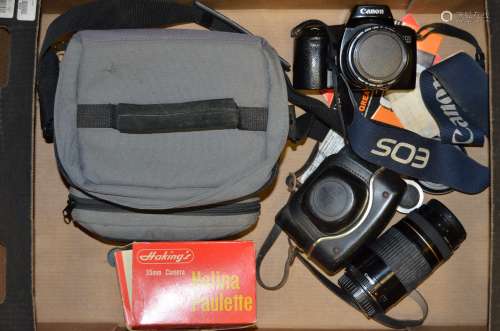 A Canon EOS 1000F SLR Camera and Lenses, serial no 3334651, shutter working, with a Canon EF 35-