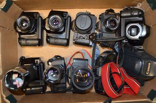 A Tray of Canon T Series SLR Cameras and Bodies, including Canon T50 (2), T70 (2 bodies, 1