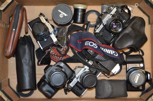 Canon and Fujica SLR Cameras, including Canon AE-1 Program, EOS 500, EOS 850, Fujica AX-5, Fujica