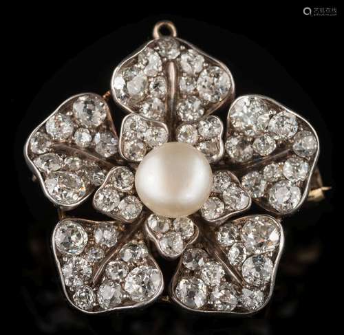 A 19th century diamond and button pearl cluster brooch: of pentagonal form,