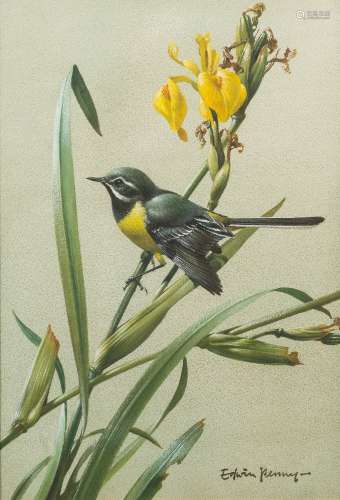 * Edwin Penny [1930-2016]- Grey Wagtail,:- signed watercolour 25 x 35cm. * With Frost & Reed.