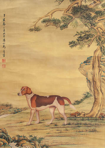 馬晉 犬