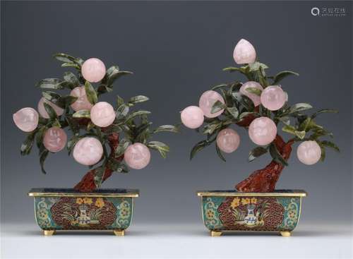 PAIR OF CHINESE JADE PEACH BENSAI IN CLOISONNE BASIN