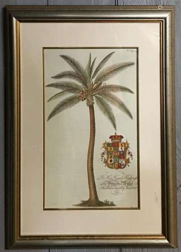 Print Of Palm Tree, To Her Royal Highness...