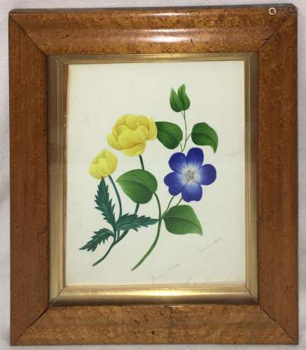 19th Century Watercolor In Frame, Signed