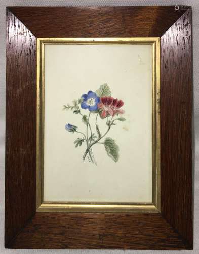 Signed 1852 Watercolor Of Flowers In Frame