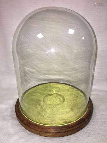 Display Case With Glass Dome