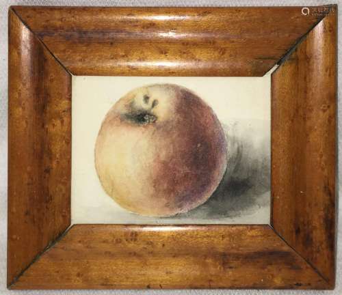 19th Century Watercolor Of Apple In Frame