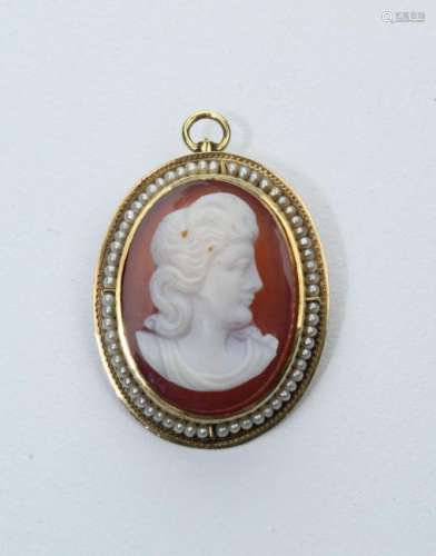 Small 14k Gold & Acrylic Carved Cameo Pin