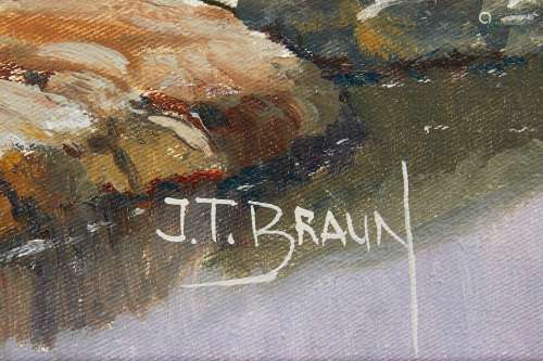 Jorge Braun Tarallo (JT Braun) Oil on Canvas